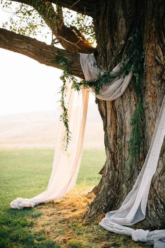 Casar junto de uma árvore centenária