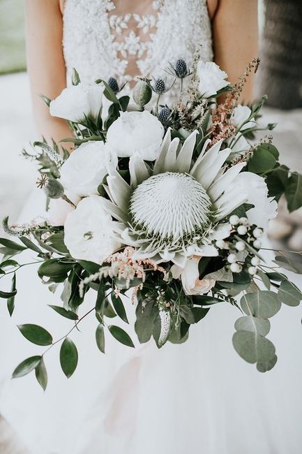 Ramo verde e branco com protea