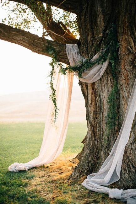 Casar junto de uma árvore centenária