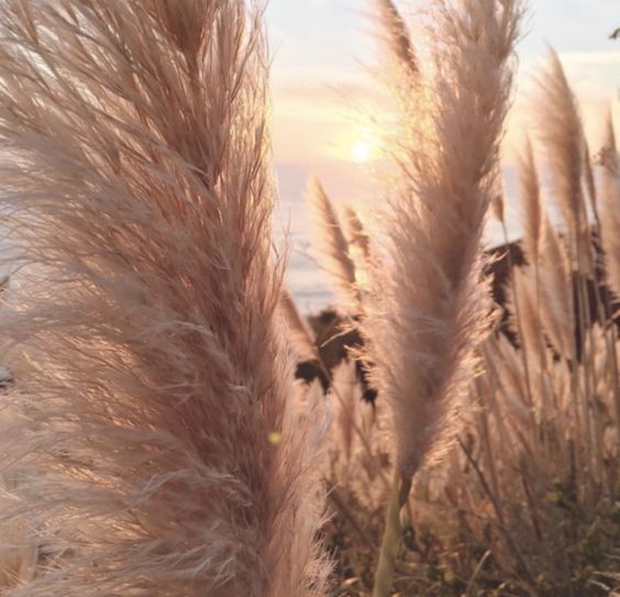 Plumas, decoração perfeita para um casamento boho