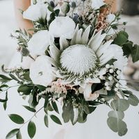 Ramo verde e branco com protea