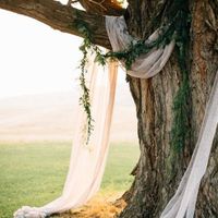 Casar junto de uma árvore centenária