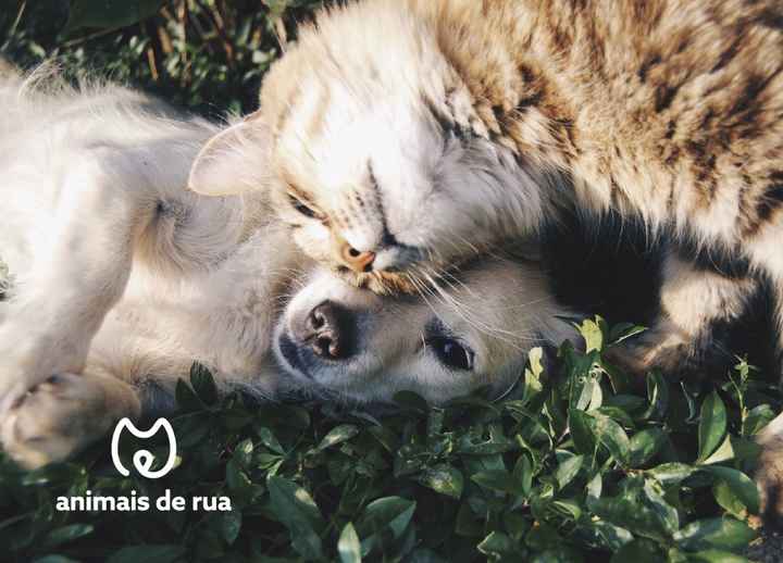 donativo para uma instituição 