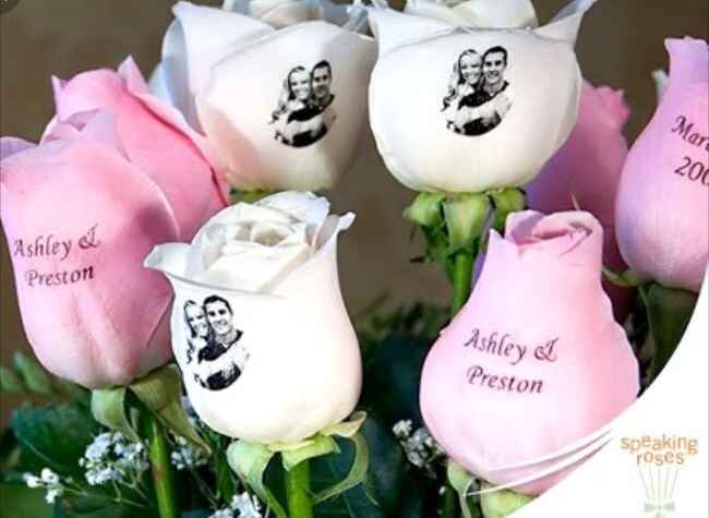  Rosas que falam por si 🌹 - 4