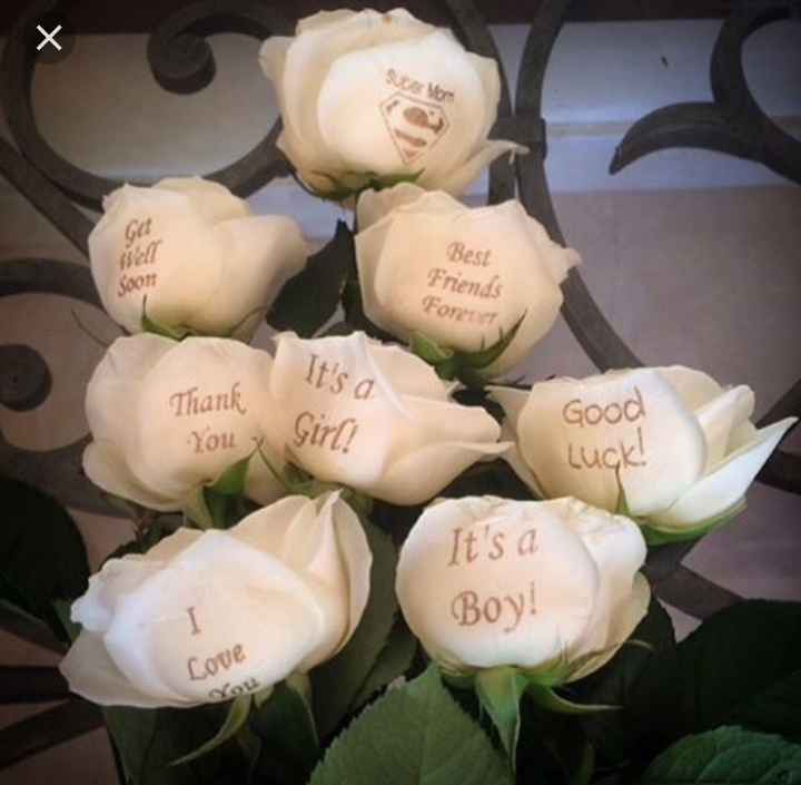  Rosas que falam por si 🌹 - 5