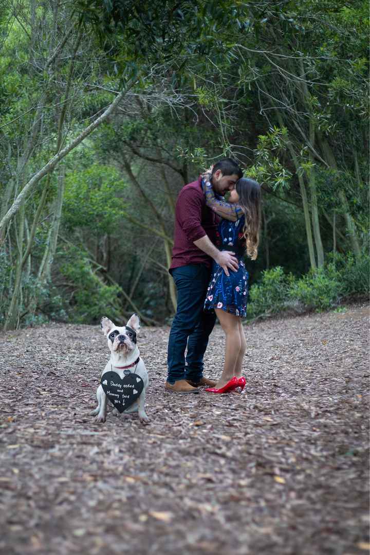 e a 114 dias já temos a fotos da sessão de Solteiros 😍 - 9