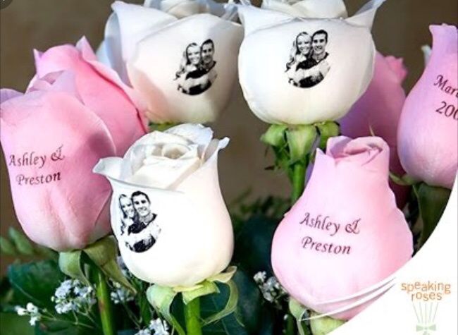  Rosas que falam por si 🌹 - 4