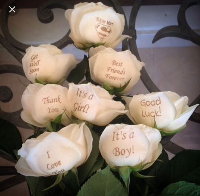  Rosas que falam por si 🌹 - 5