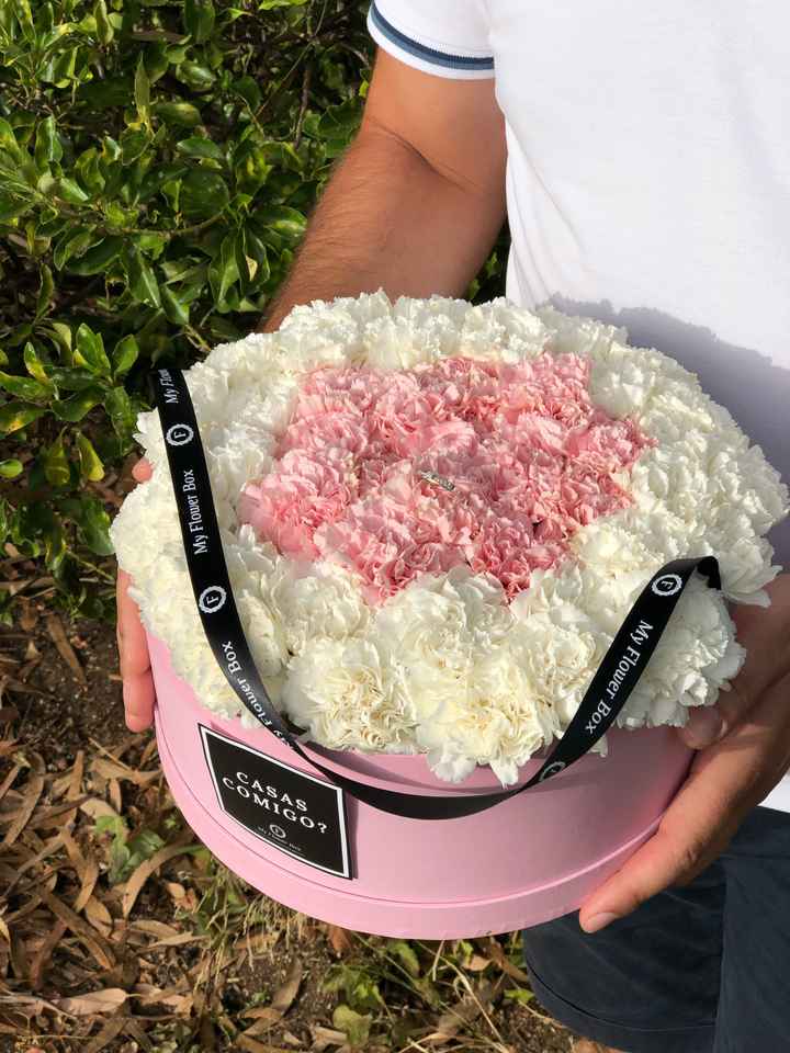 Quem gostaria de ter um pedido de casamento assim? - 1