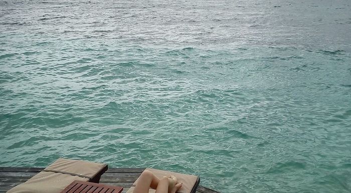 O meu dia c - com fotos - 9