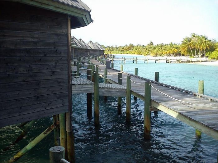 O meu dia c - com fotos - 10