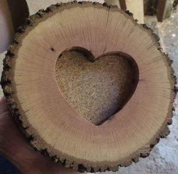 O meu dia c - com fotos - 1