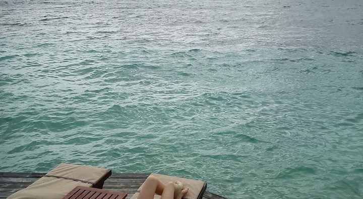 O meu dia c - com fotos - 9