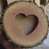 O meu dia c - com fotos - 1