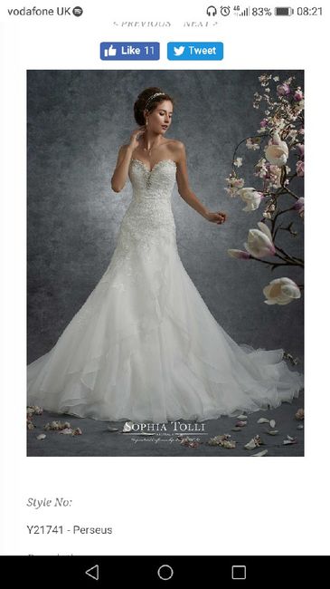 Vestidos sophia tolli 1