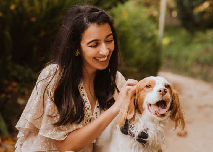 Sessão de solteiros com animais de estimação - 2