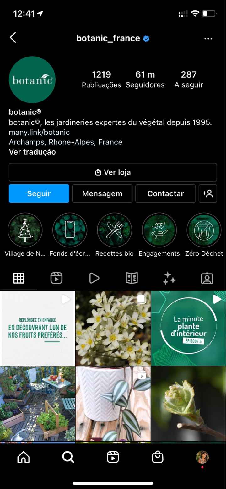 Flores: naturais ou secas? - 1