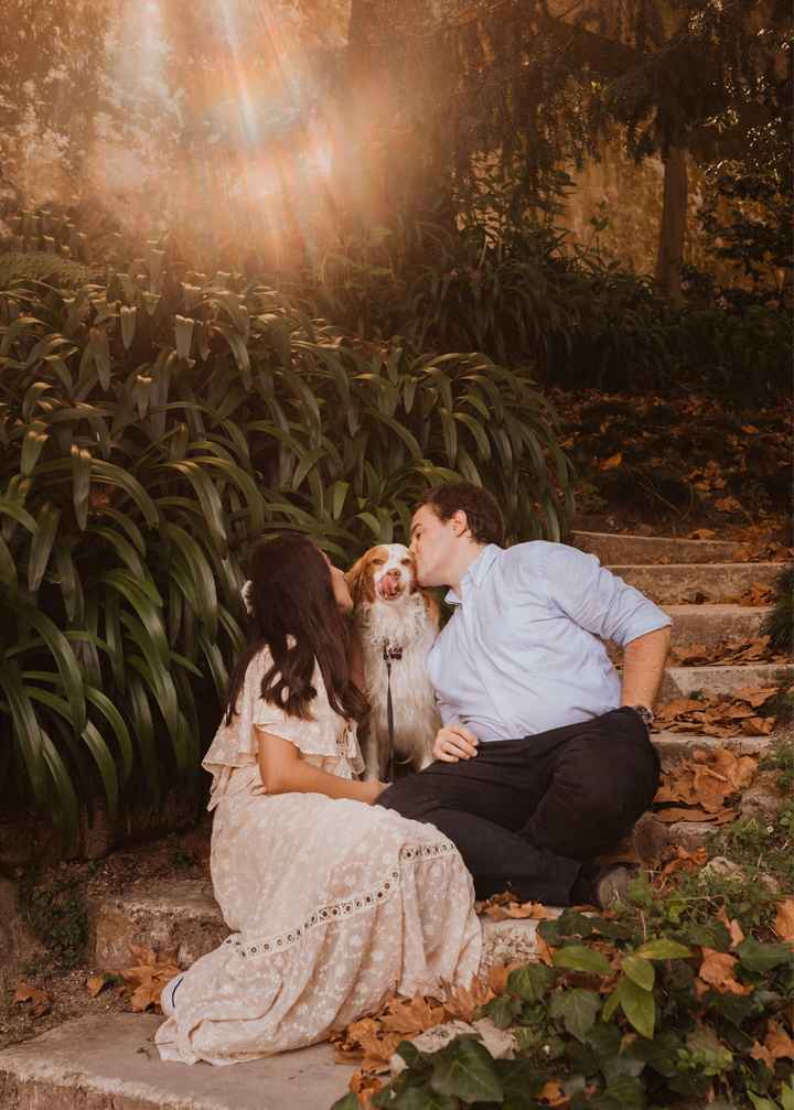 Vão fazer uma sessão fotográfica de pré casamento? 📸 - 2