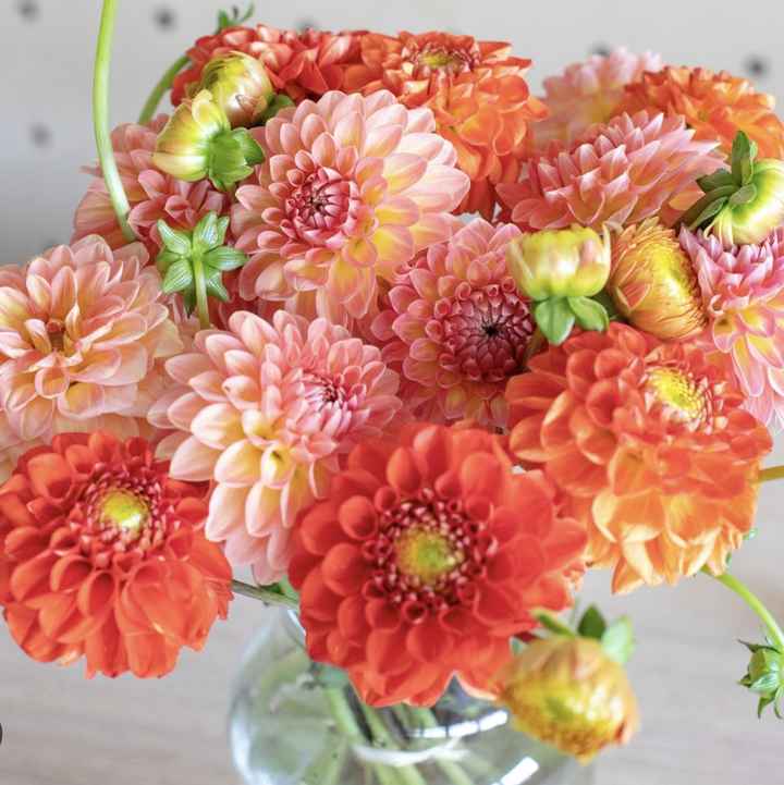 As flores mais utilizadas nos casamentos - 5