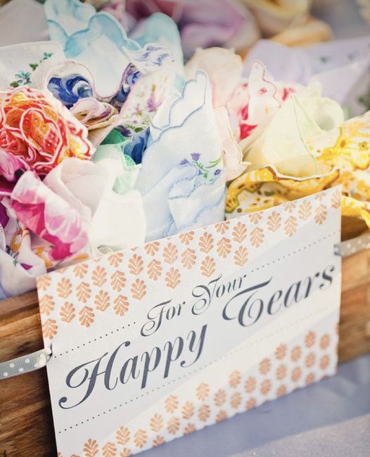 Semi-check - Lenços das lágrimas de alegria 2