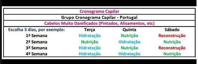 Cronograma Capilar
