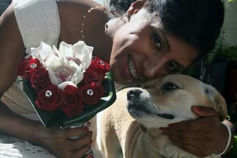 Um convidado especial - 1