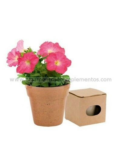 Amores- perfeitos - 1