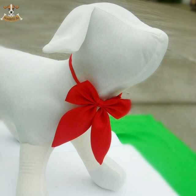 Animais de estimacao - 9