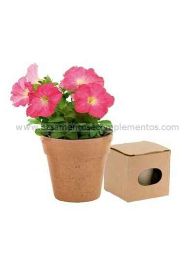 Amores- perfeitos - 1