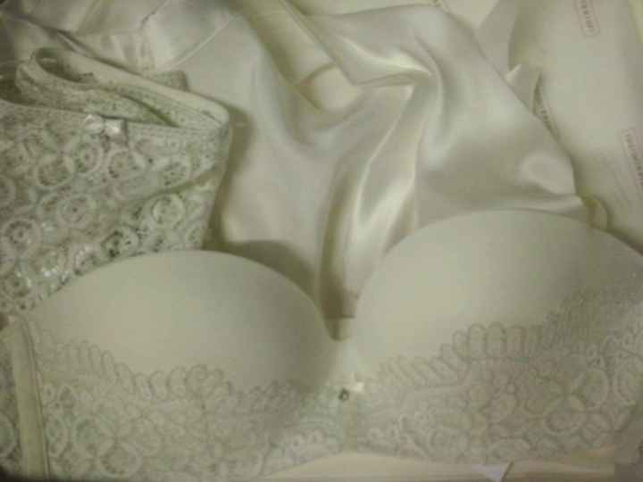 Lingerie - check - 1
