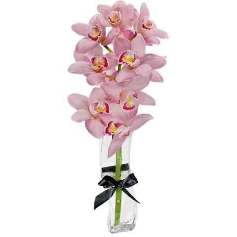 Bouquet : Orquídeas - 1