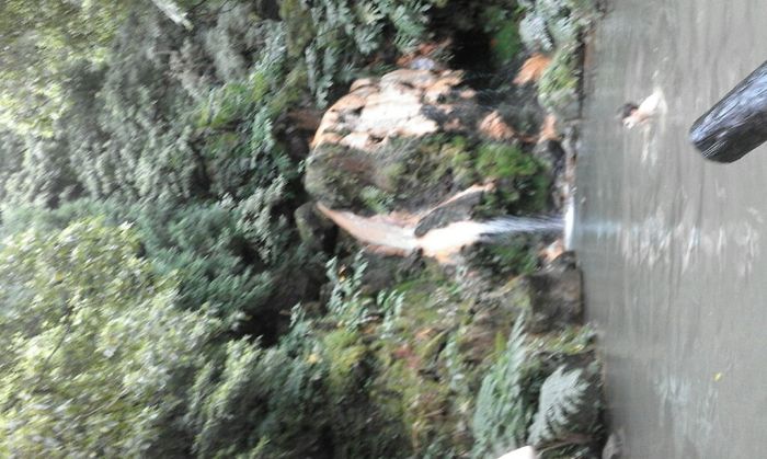 Açores - 2