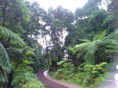 Açores - 1