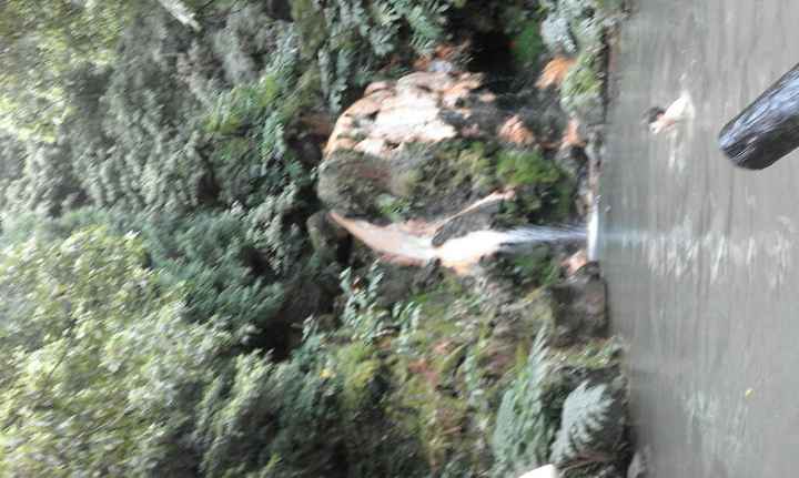 Açores - 2