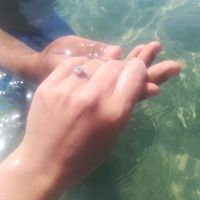 Bora partilhar o nosso anel de noivado? 💍😍 - 1