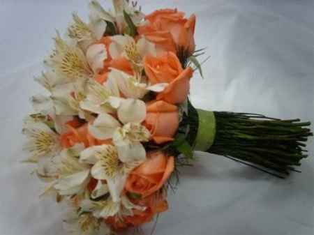 Tema... cores... help me - 3