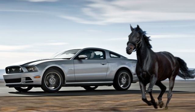 Ainda não decidi qual Mustang me levará à Cerimónia...