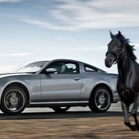 Ainda não decidi qual Mustang me levará à Cerimónia...