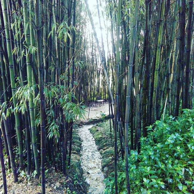 Decoração escolhida :) - 2