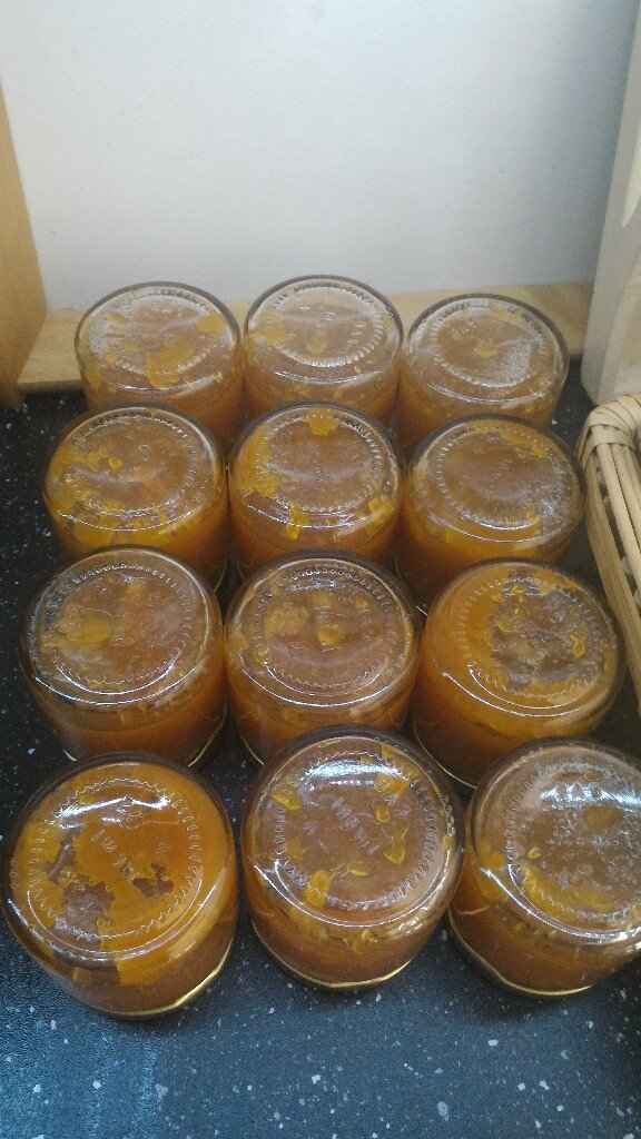 Lembranças em andamento :) - 1