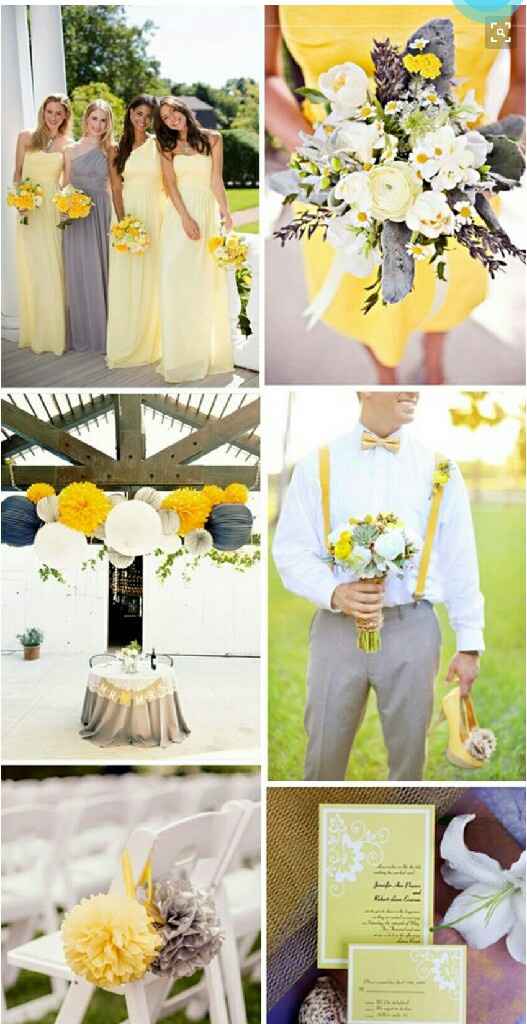 Cores escolhidas - 5