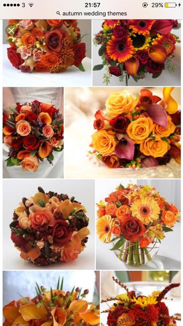 Tema outono 😍 - 8