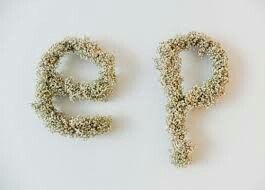 Letras de flores - 8