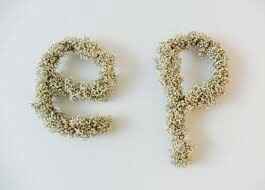 Letras de flores - 8