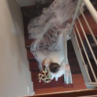 Cores de casamento: que palette é melhor ? - 2