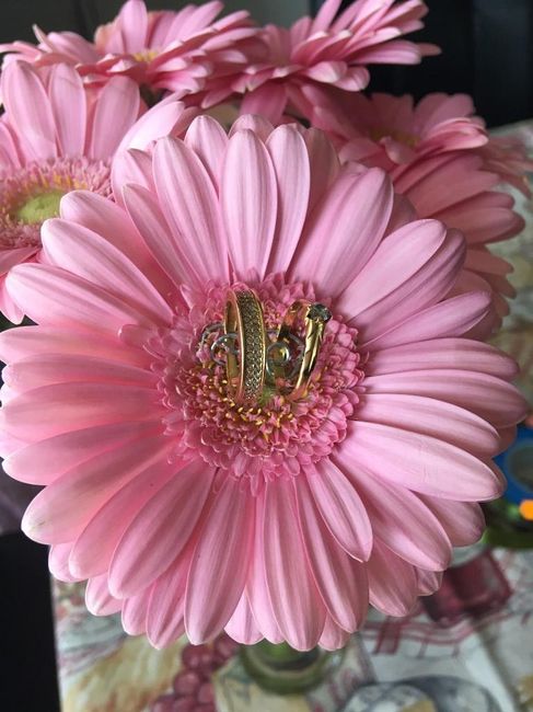 o nosso porta alianças - parte iii 2