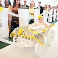a procura de um carrinho bebe para enttega de alianças - 1