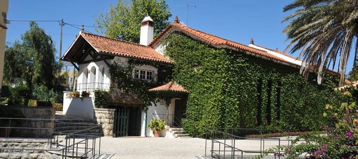 Qta Sto António Freixo 