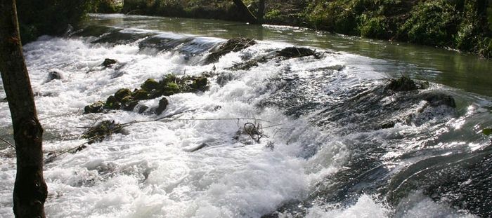 Qta Sto António Freixo 