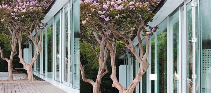 Qta Sto António Freixo 